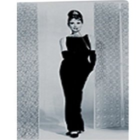 (DVD)  오드리 헵번 박스 세트 (Audrey Hepburn Boxset, 4disc)