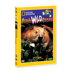[내셔널지오그래픽] 집짓기 대소동 (Awesome Animal Builders DVD)