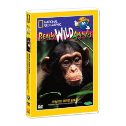 [내셔널지오그래픽] 원숭이와 영장류 동물들 (Monkey Business and Other Family Fun DVD)