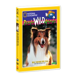 [내셔널지오그래픽] 개와 고양이에 관한 진실 (Hot Dogs &amp; Cool Cats DVD)