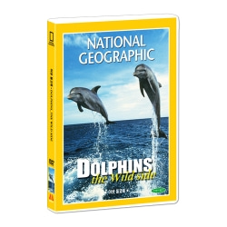 [내셔널지오그래픽] 야생 돌고래 (Dolphins : The wild side DVD)