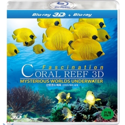 (블루레이) 산호초의 매혹, 신비의 해저 세계 3D (Fascination Coral Reef 3D Mysterious Worlds Under Water)